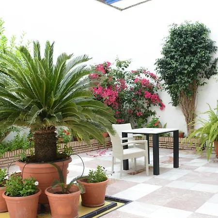 Loft Cordoba